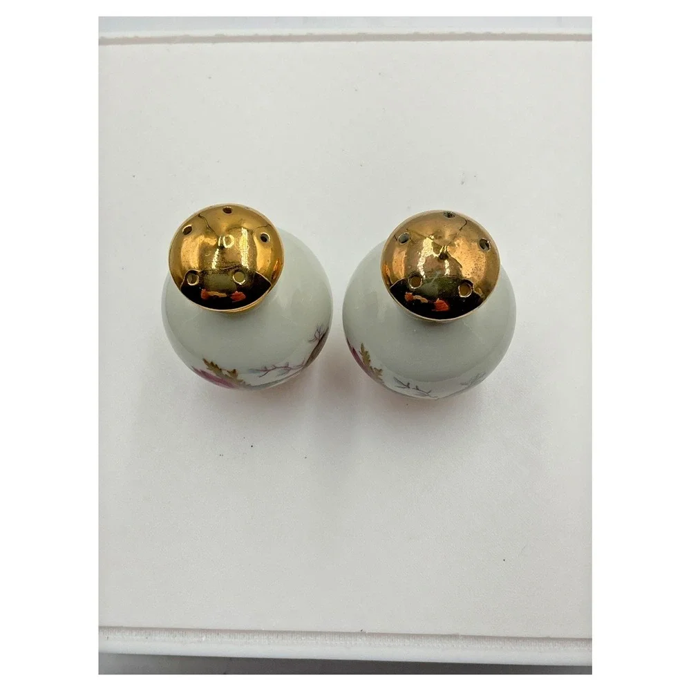 Vintage Floral Porcelain Salt and‎ Pepper Shakers Gold Trim
